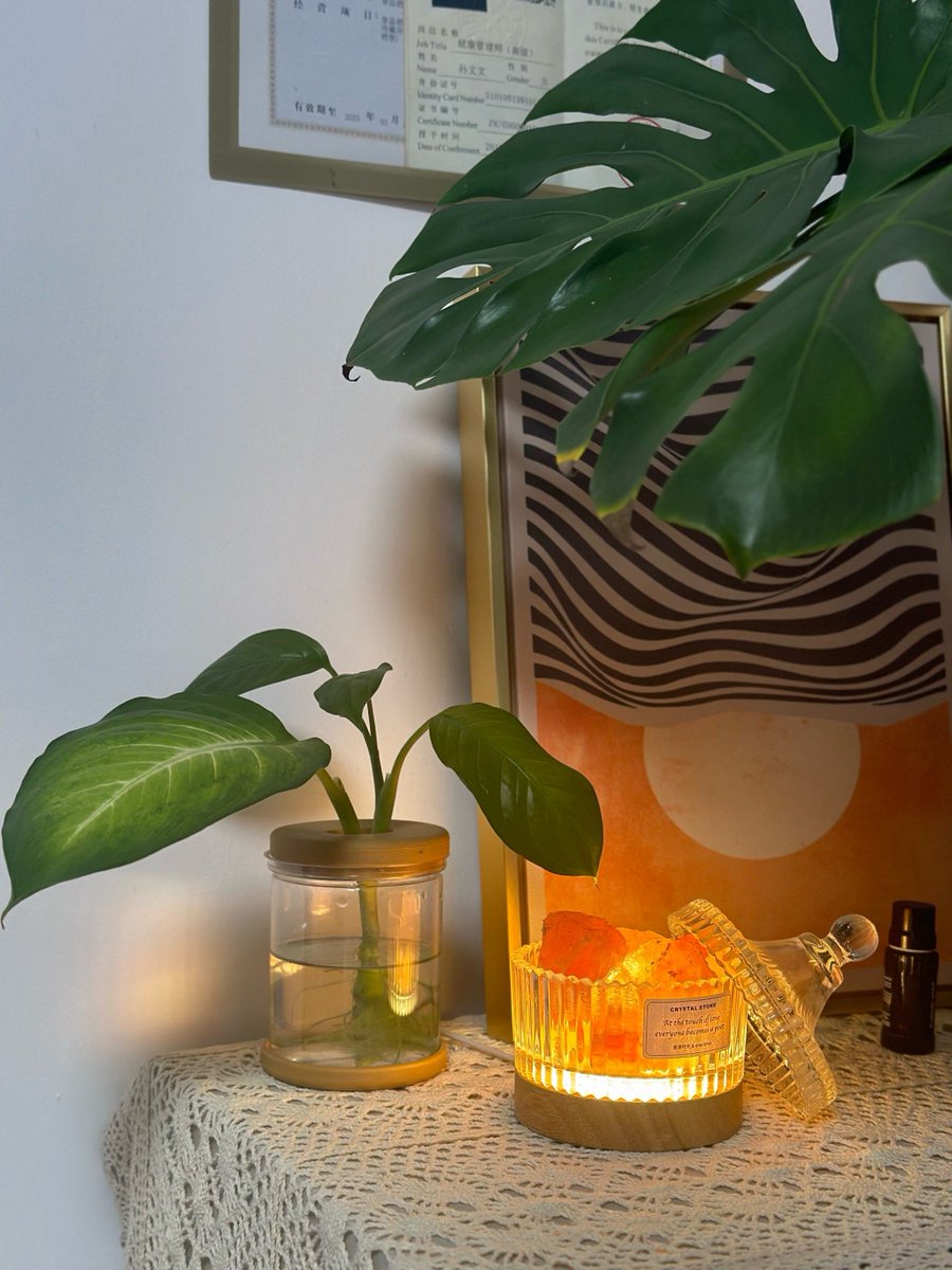 Hendraj18079283's tweet photo. [Warm scent, cozy vibe—this little tank with subtle faint smell is my daily comfort corner ]， https://t.co/AEBT8xAetr