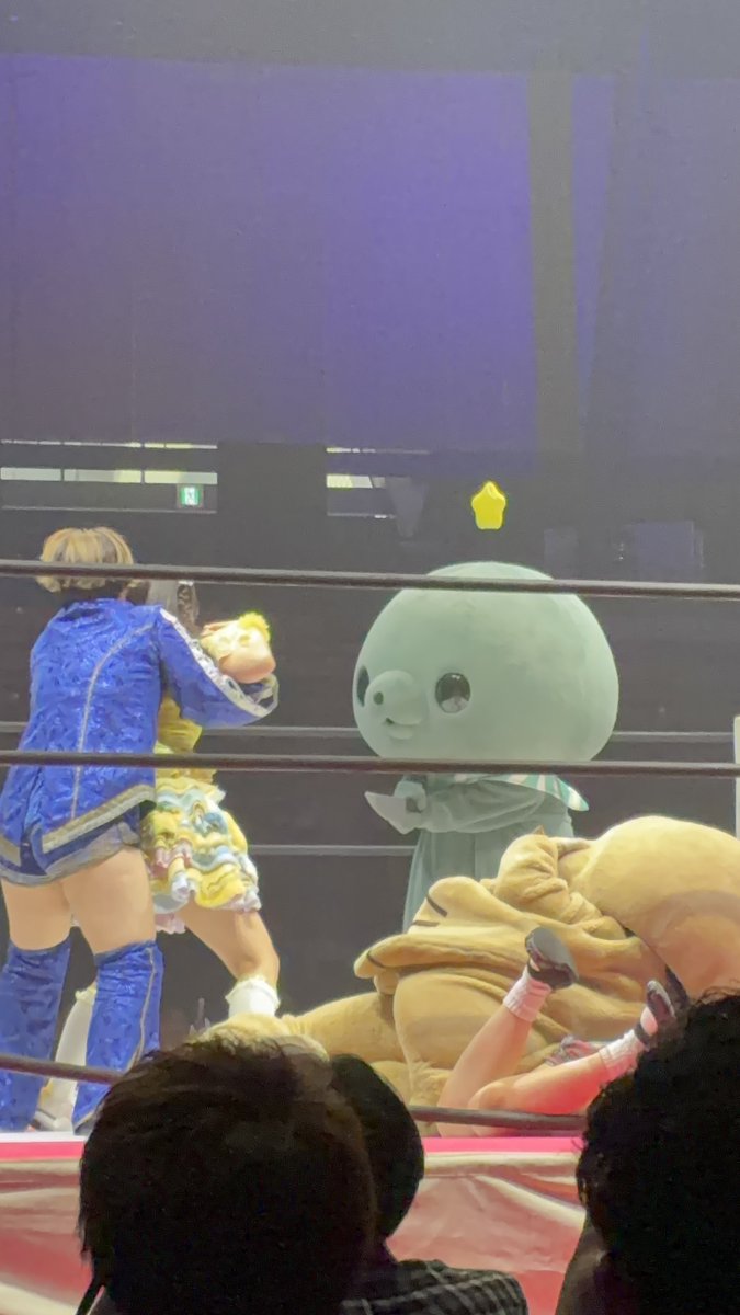 tac_zoo's tweet photo. 20261003 #tjpw おおた大会!

③ らく＆魅仁夢 v ぽむ＆ポコたん v 真弥＆タマ

ほぼ何もしなかったのに何故かタマが気になって気になってしょうがない混沌な１試合でした…最後真弥刺されてたし汗

#tjpwWP7 https://t.co/1Ei6FtZhVu