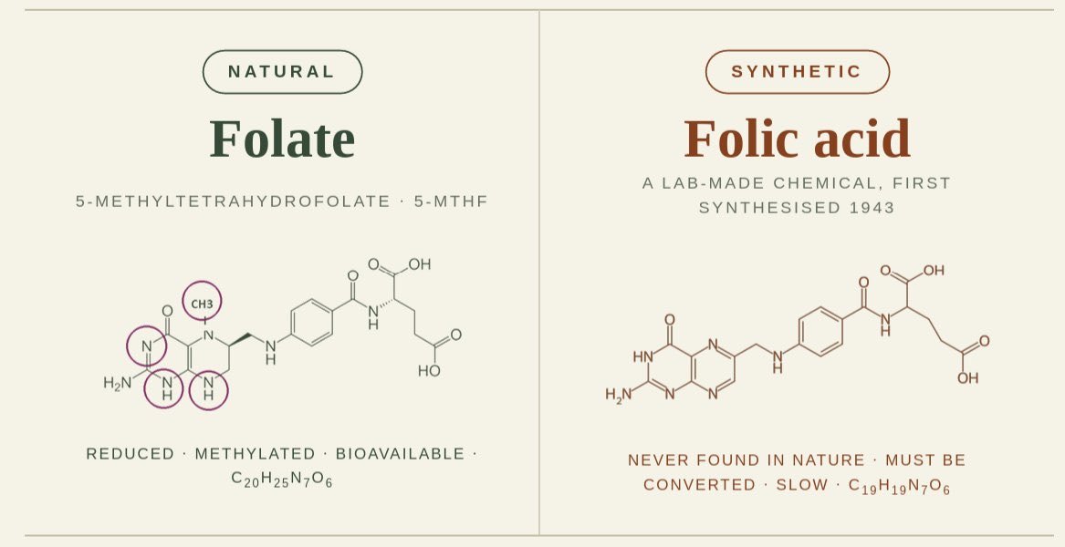 PaulThomas39728's tweet photo. @lennydegiorgio @ArconSkysII @HeinzUK Folate in vitamin B9 folic acid is a man made synthetic version,  not a vitamin https://t.co/gB3hvh9mvb