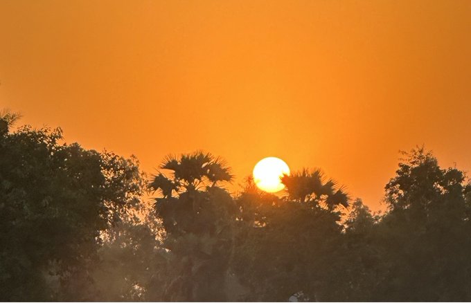 A bright sun sets behind silhouetted palm trees and foliage against a vibrant orange sky.