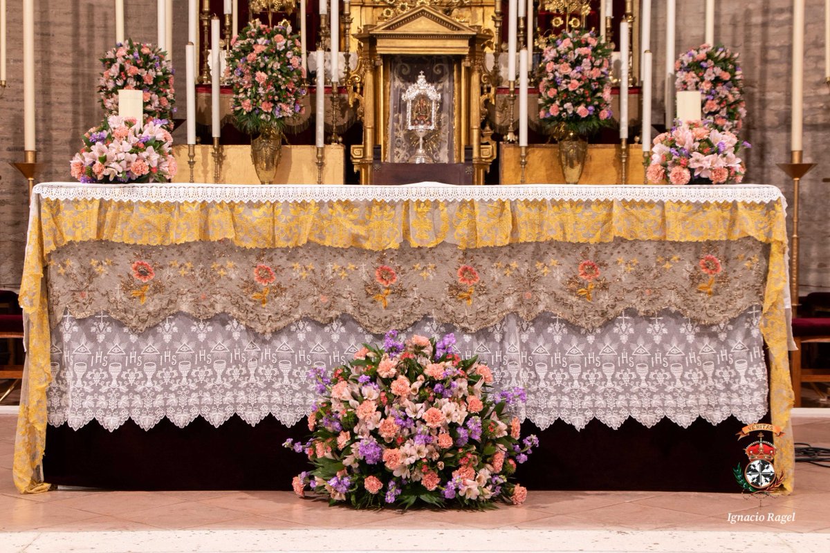 Rosario_SJ's tweet photo. El altar se encuentra exornado con alstroemerias, alhelí, barbatus y clavel, de @FloristaMendoza.

📷 NHD Ignacio Ragel https://t.co/Aq0CZa6Nbh