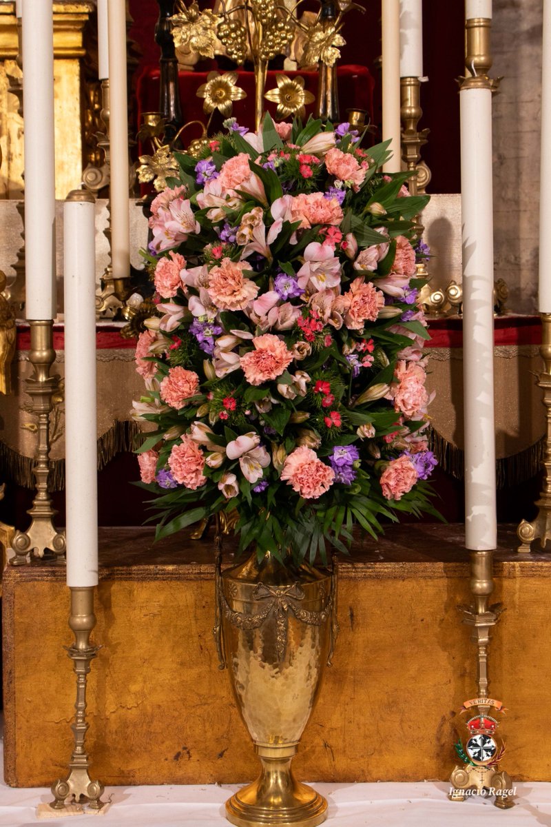 Rosario_SJ's tweet photo. El altar se encuentra exornado con alstroemerias, alhelí, barbatus y clavel, de @FloristaMendoza.

📷 NHD Ignacio Ragel https://t.co/Aq0CZa6Nbh