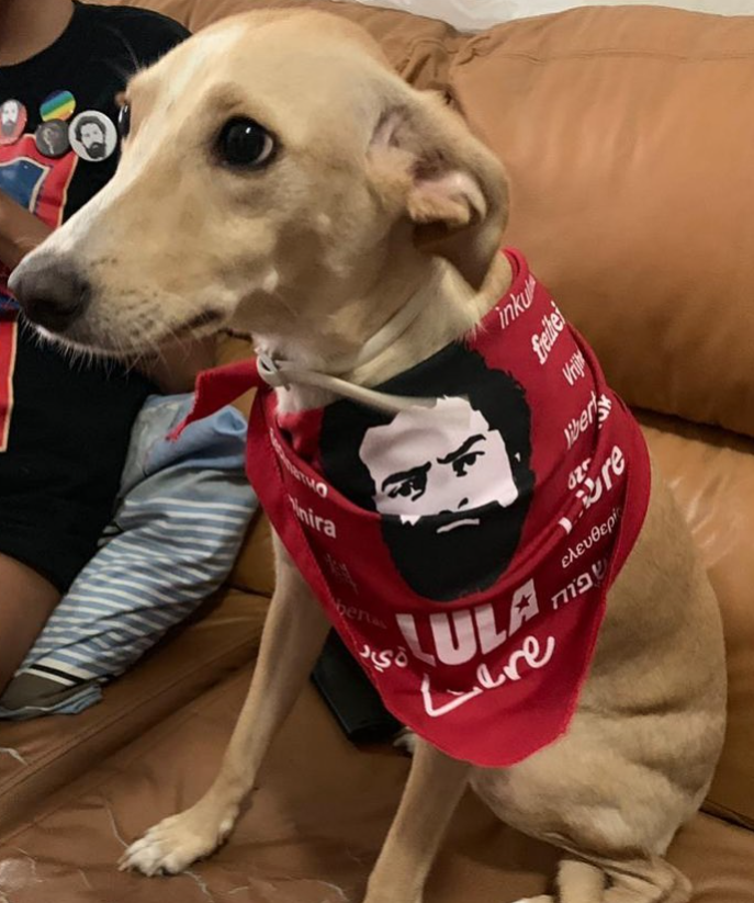 geovannapsd's tweet photo. CACHORROS CARAMELOS COM LULA!!!!!!! https://t.co/n1ZBRQYwIJ