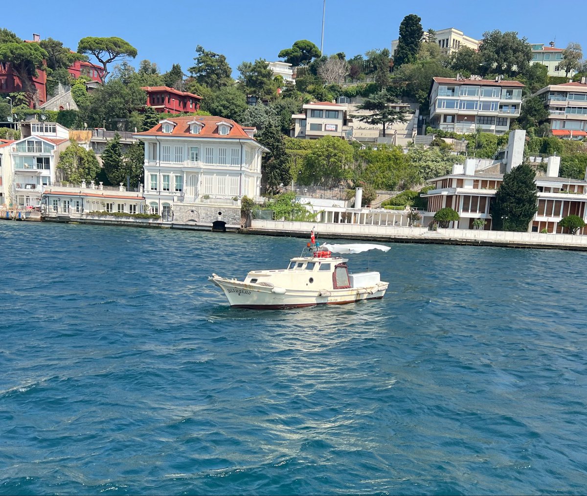 HayatAmal80's tweet photo. @jjmmli https://t.co/qpvDoi9cdD