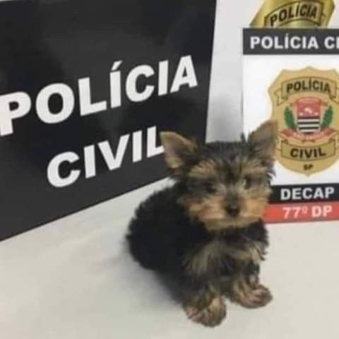 bigdaysz's tweet photo. @impulsusvitais é ele nessa foto? https://t.co/R7tqsvSO1f