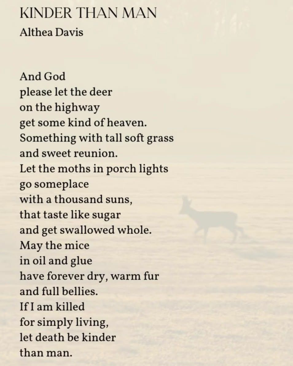 onlypoemsmag's tweet photo. If I am killed for simply living, let death be kinder than man. https://t.co/DzTLG0zm8l