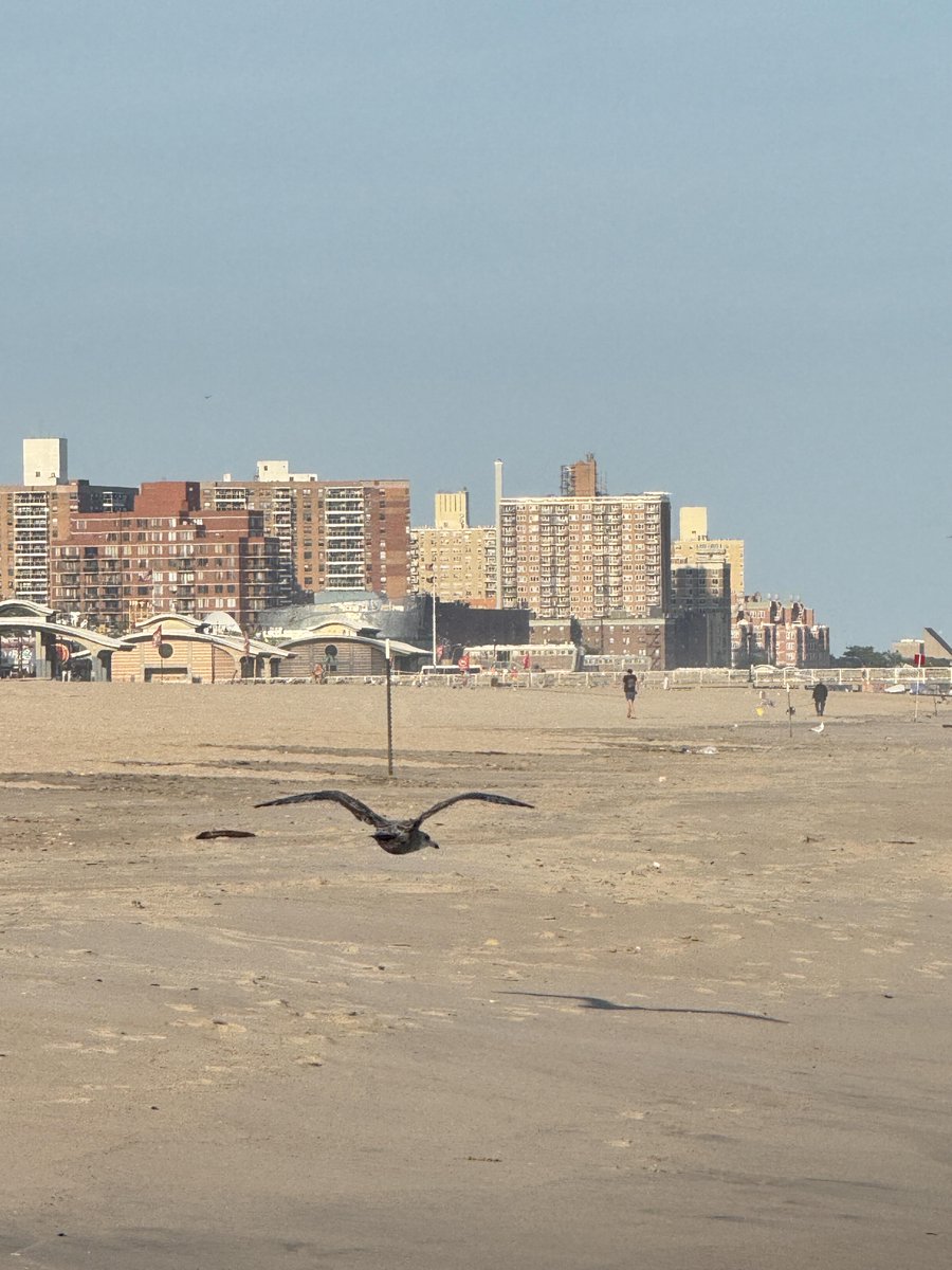 Bellamrwv's tweet photo. Sun, sand, and quiet reflections https://t.co/lrJUwFVhbL