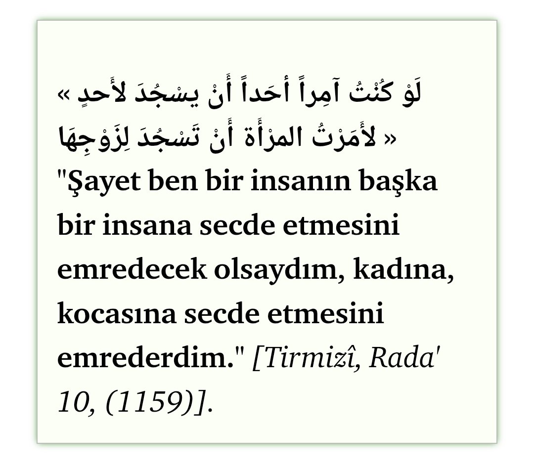 tombarrak's tweet photo. @kuzu_ciftlik https://t.co/EQYBsVq5Xm