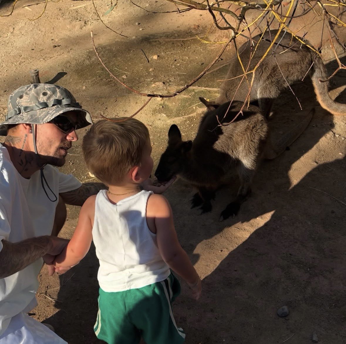 bizzelcrf's tweet photo. Baby jack tá grande demais, que fofos minha família no zoológico 😭😭😭 https://t.co/ReFYdbeZu1