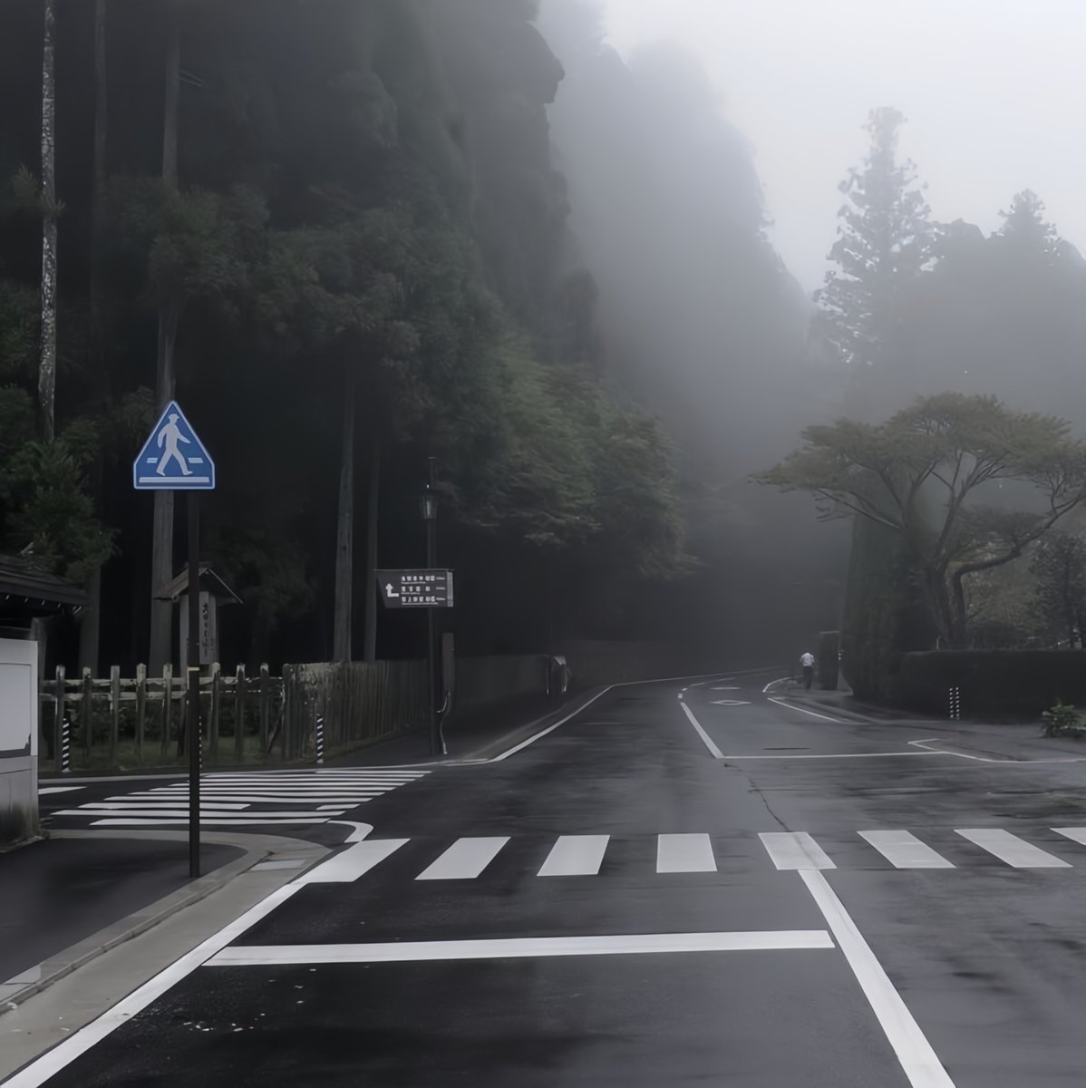 wynrosei's tweet photo. i love foggy weather https://t.co/jgLYrkLdrJ