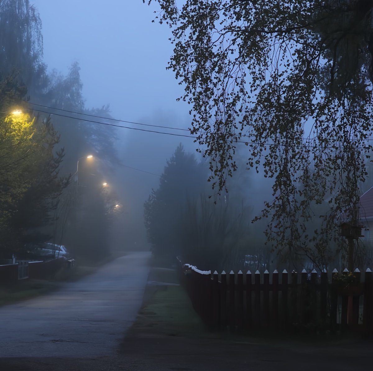 wynrosei's tweet photo. i love foggy weather https://t.co/jgLYrkLdrJ