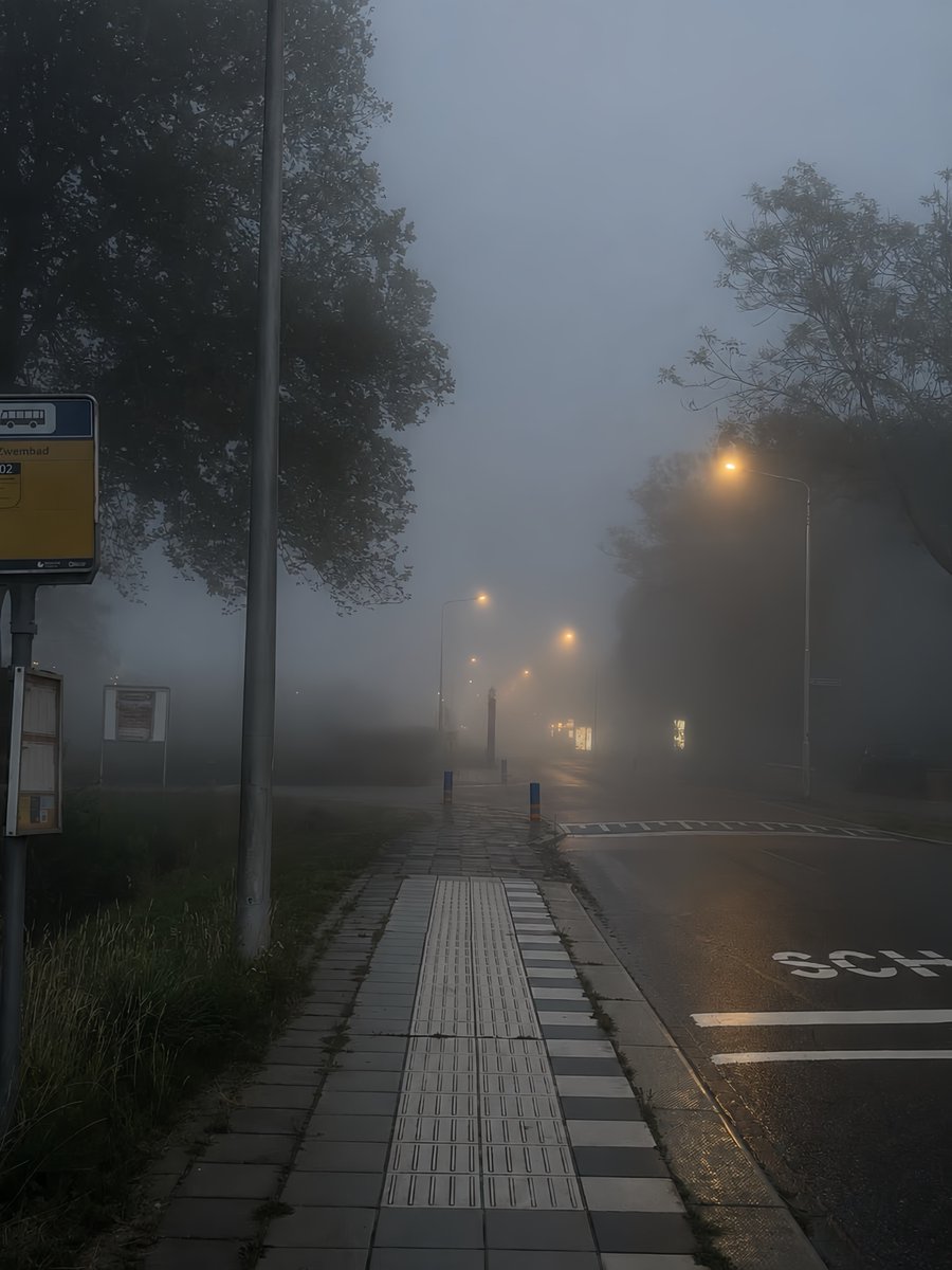 wynrosei's tweet photo. i love foggy weather https://t.co/jgLYrkLdrJ