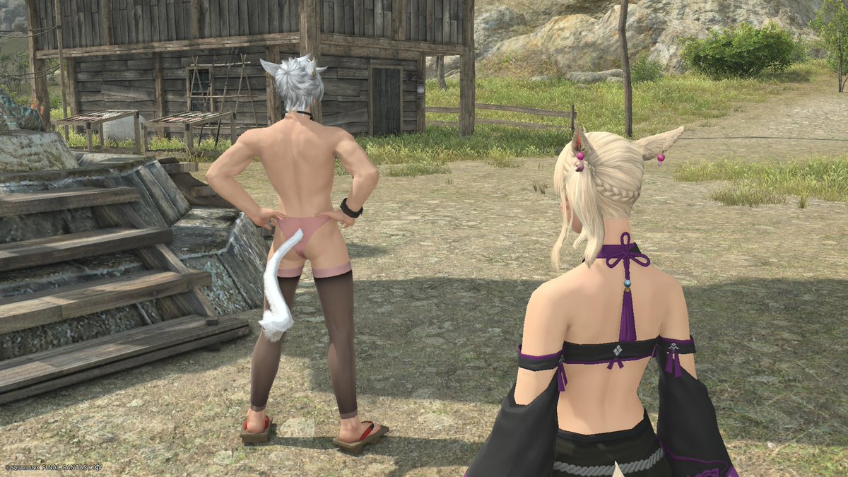 rak_yuz's tweet photo. いい装備もらったから見てって言われて見に行ったら、いいケツを自慢された。 https://t.co/7HYhMqBULy