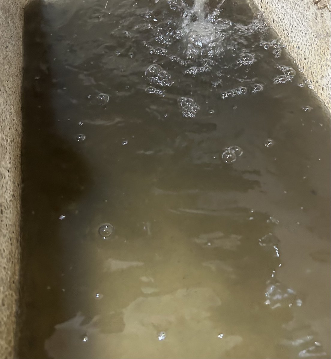 Rouux1's tweet photo. Con esta agua tenemos que bañarnos, lavar los trastes y lavar ropa !!
Y ustedes tan tranquilos robándose el dinero de los jaliscienses…
RATAS!
@PabloLemusN 
@IsmaelJauregu17 
@MirzaFloresG https://t.co/igVw5GhDCF