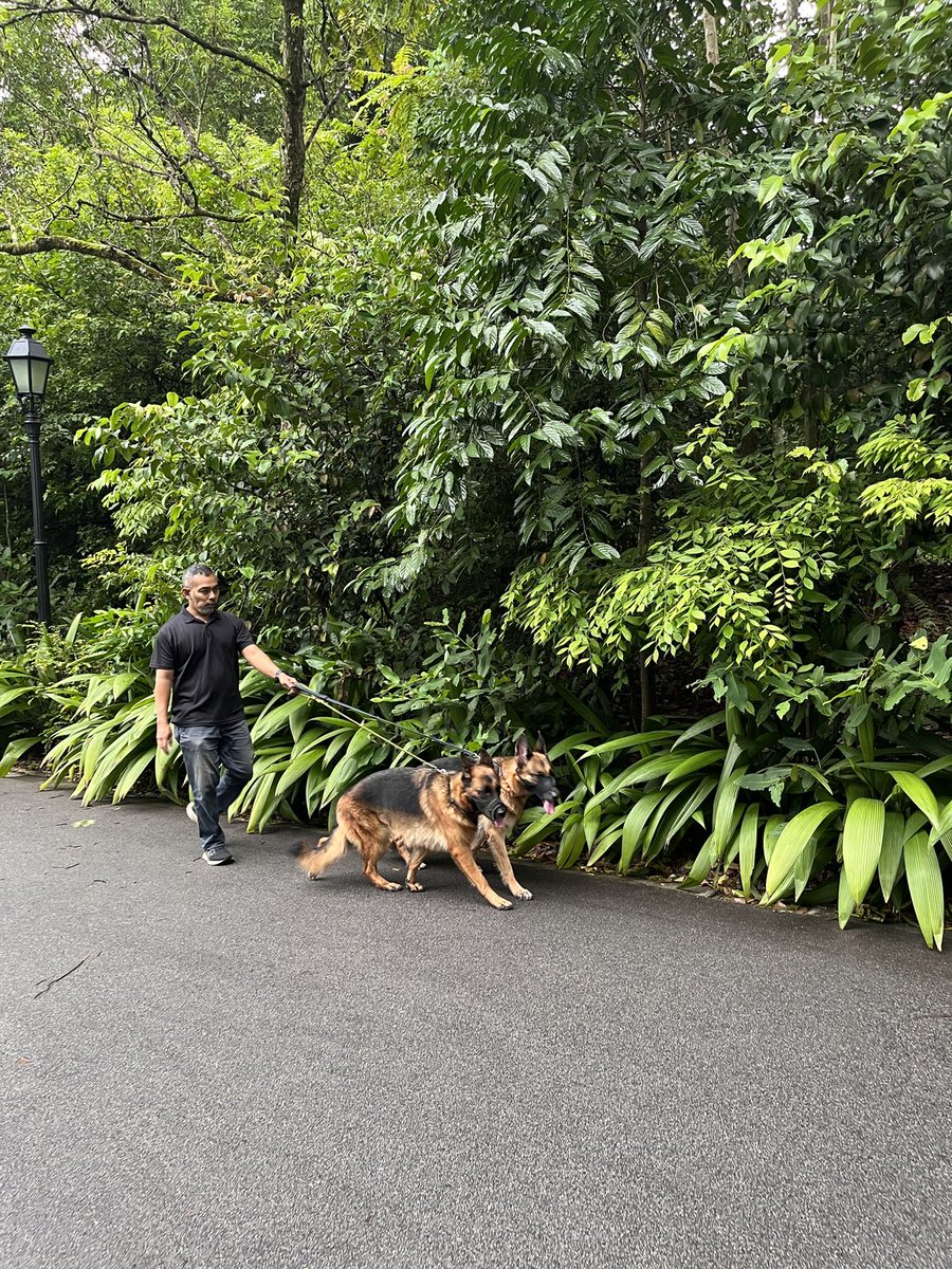 Donna_LSQ's tweet photo. The neighbor is huffing and puffing behind, while the dog leads the way in front. This is what daily life looks like when the dog is actually walking the human! https://t.co/3OYtGO5QXa