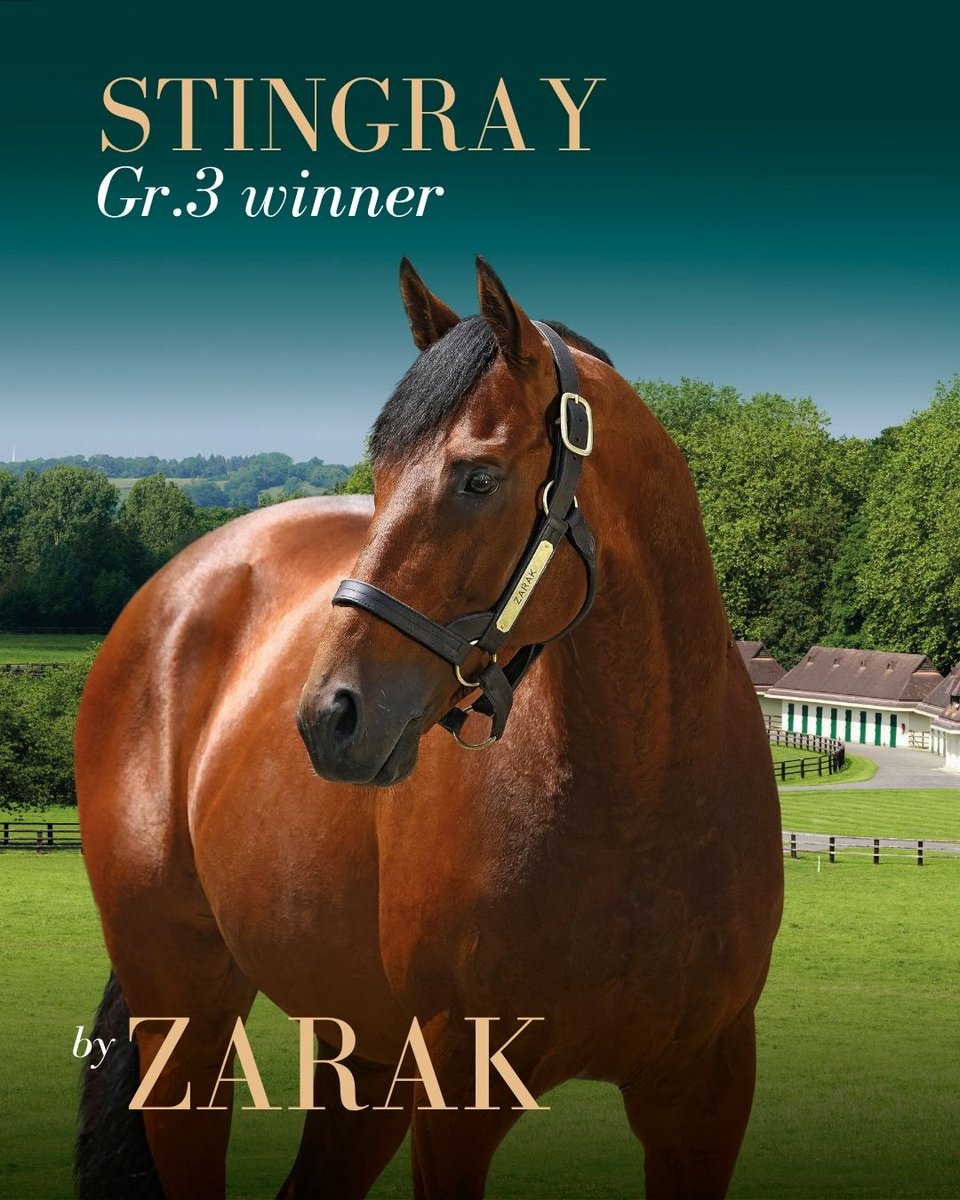 AgaKhanStuds's tweet photo. 🏆 Group winners today for both #SeaTheStars and #Zarak.

🥇 Al Aasy, Gr.3 Cumberland Lodge Stakes, @Ascot 
🥇 Stingray, Gr.3 Premio Federico Tesio, San Siro

Congratulations to the connections of these two multiple Stakes winners! 👏👏 https://t.co/fGzf2WRPlS