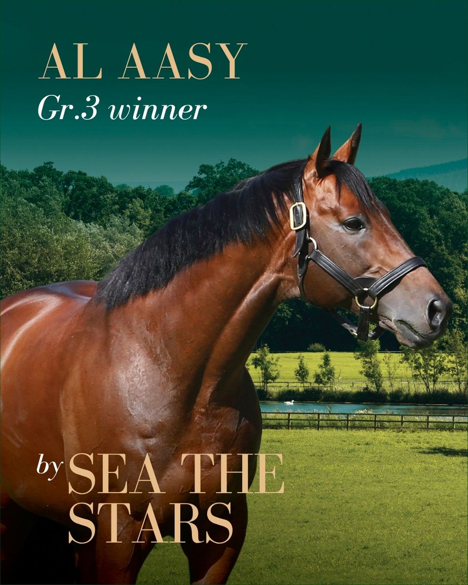 AgaKhanStuds's tweet photo. 🏆 Group winners today for both #SeaTheStars and #Zarak.

🥇 Al Aasy, Gr.3 Cumberland Lodge Stakes, @Ascot 
🥇 Stingray, Gr.3 Premio Federico Tesio, San Siro

Congratulations to the connections of these two multiple Stakes winners! 👏👏 https://t.co/fGzf2WRPlS