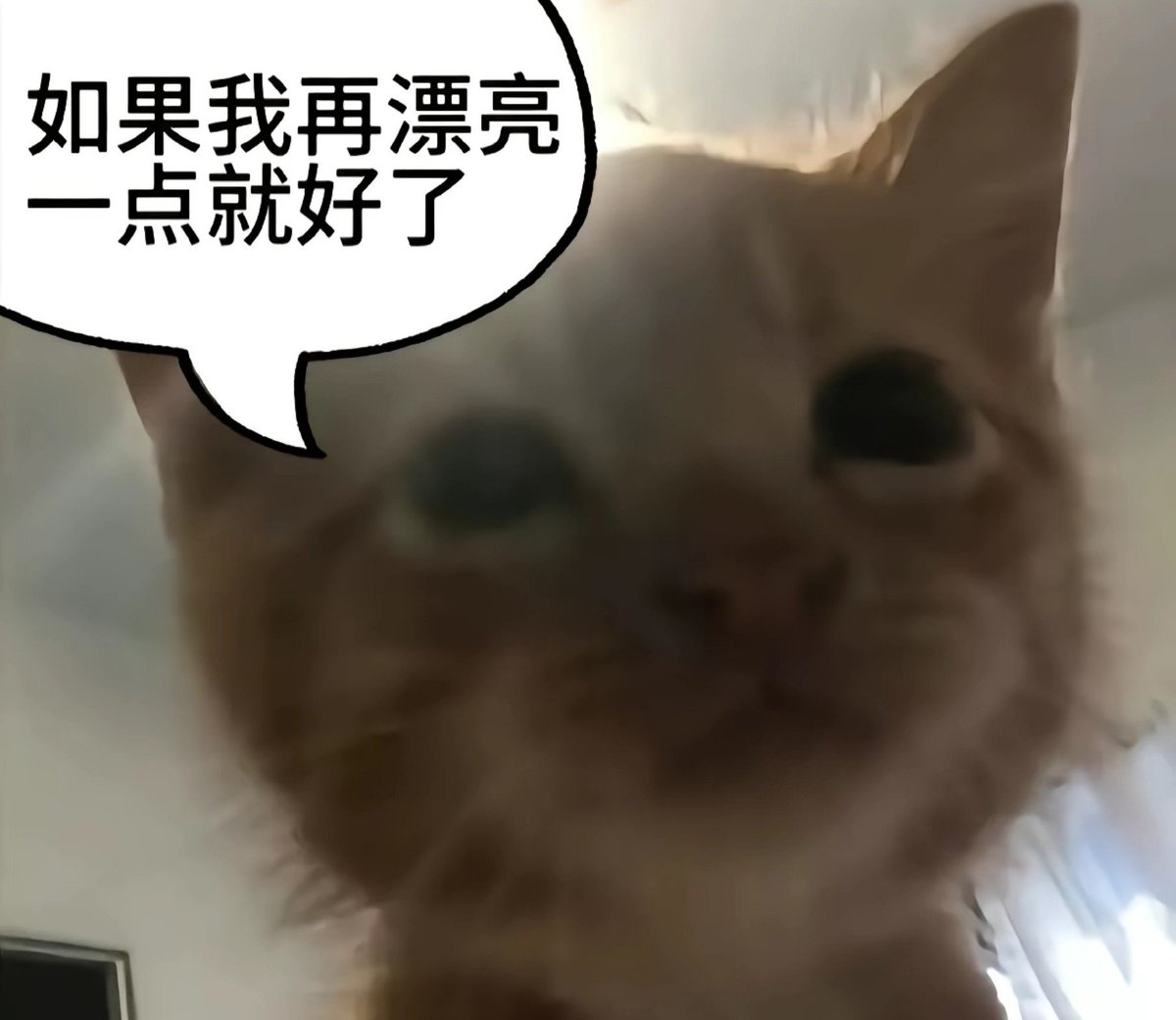 KAIuq6sl's tweet photo. ＋困住我的永远是容貌焦虑＋
要是我再瘦一点就好了 要是我再漂亮一点就好了 我哪有那么好看 不过是活在自欺欺人的幻想里 离开了美颜滤镜我什么都不是 被爱的前提一定是漂亮吗
＃容貌焦虑 https://t.co/xpdqfhdBQA