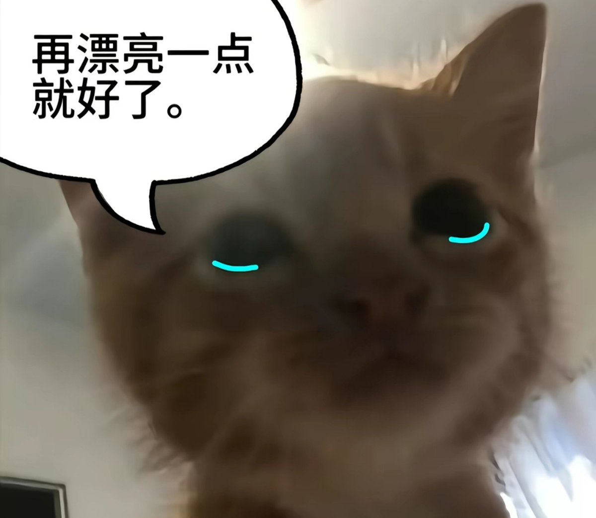 KAIuq6sl's tweet photo. ＋困住我的永远是容貌焦虑＋
要是我再瘦一点就好了 要是我再漂亮一点就好了 我哪有那么好看 不过是活在自欺欺人的幻想里 离开了美颜滤镜我什么都不是 被爱的前提一定是漂亮吗
＃容貌焦虑 https://t.co/xpdqfhdBQA