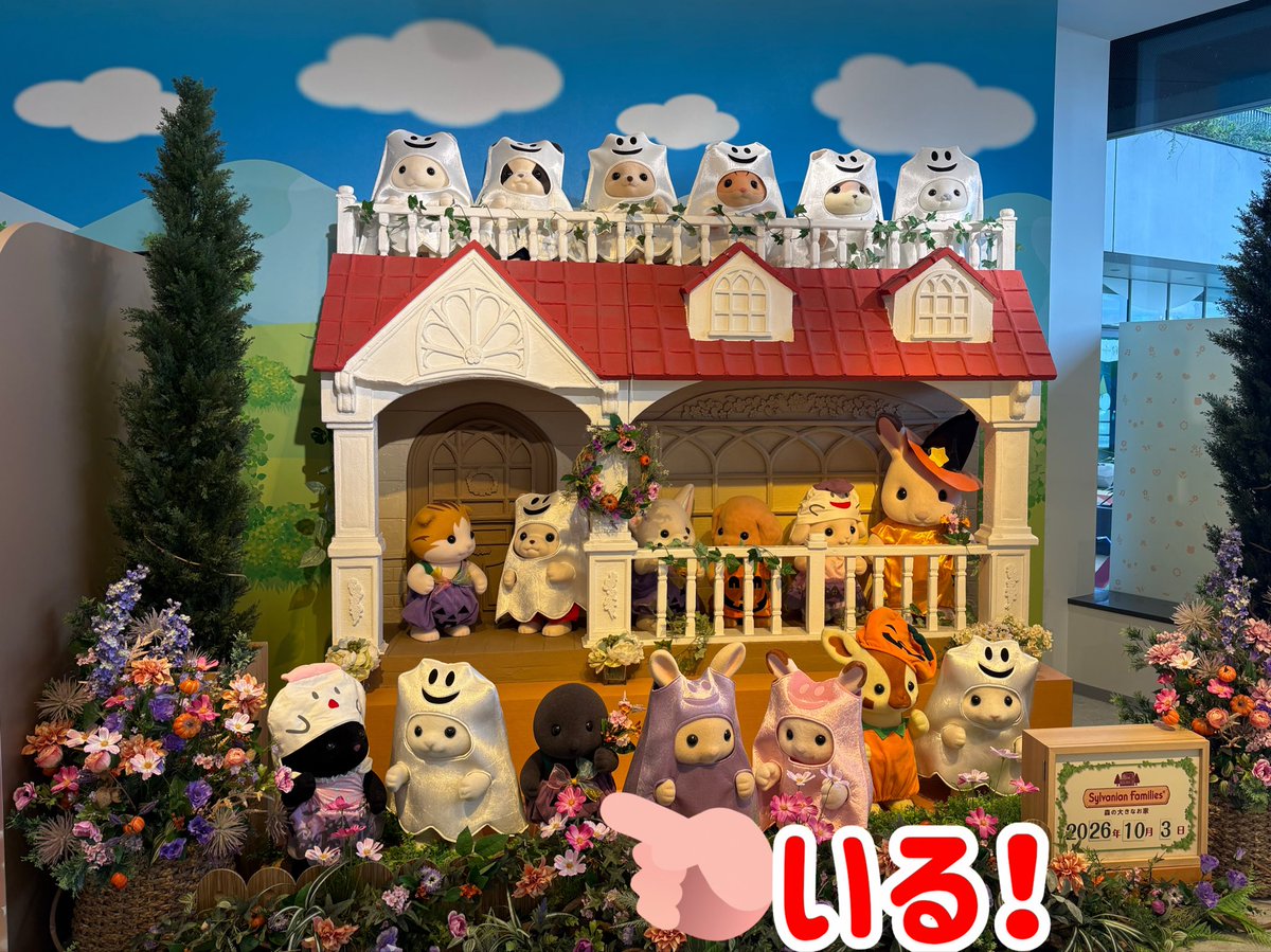 chocoanduchu's tweet photo. ソラマチのシルバニアファミリー森の大きなお家でモグラをひたすら探す旅
かわいいジオラマ沢山飾っててテンション上がるけどモグラはほぼいない
モグラが地上にいるとおかしいもんな…
ハロウィンのセットにちゃんとセンター辺りにムーちゃんを並ばせてくださってうれしい https://t.co/WeWzPWx3eg