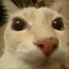 neantichrist's tweet photo. Бля у меня руки солярой пахнут я ебал https://t.co/VvXLCD9cPt