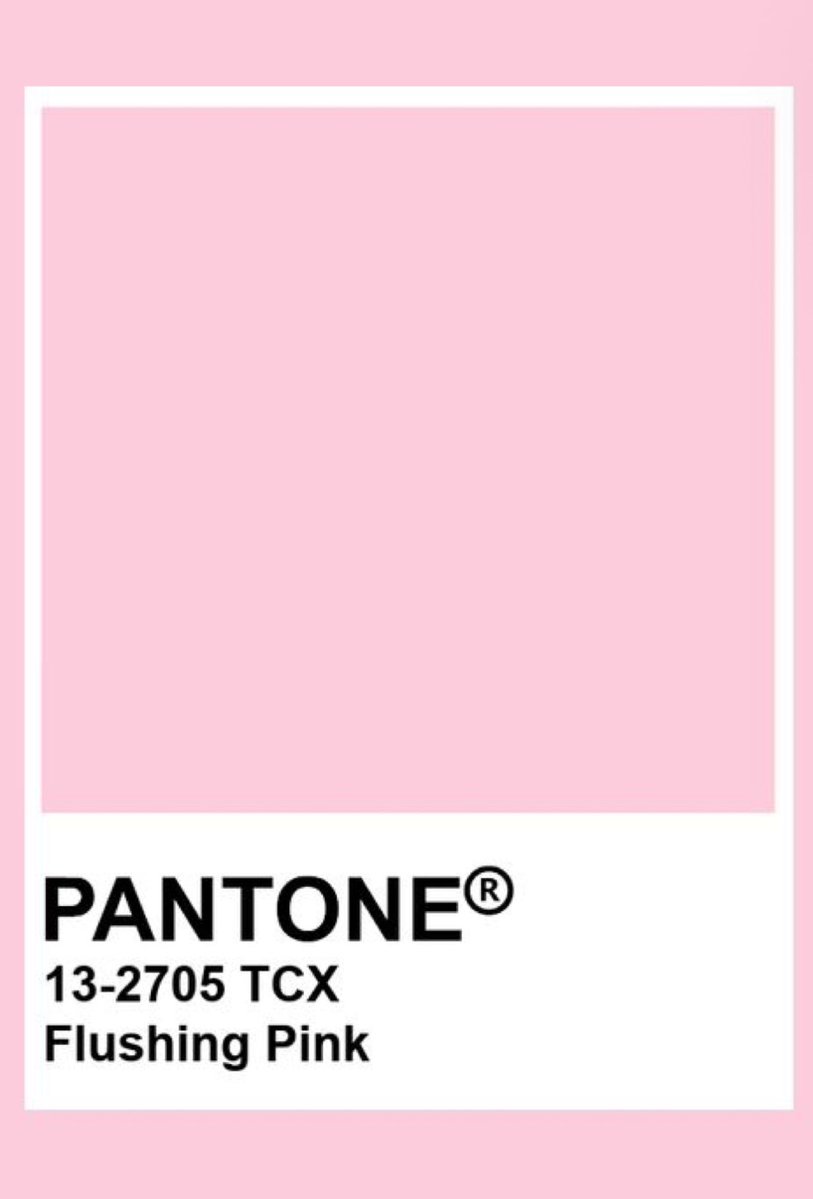lalalosesweight's tweet photo. how pinterest sees me :D 

fashion
pantone
mood
food 

⋆˚✿ ˖° ⋆˚✿ ˖° https://t.co/BwH2ZNq7rd