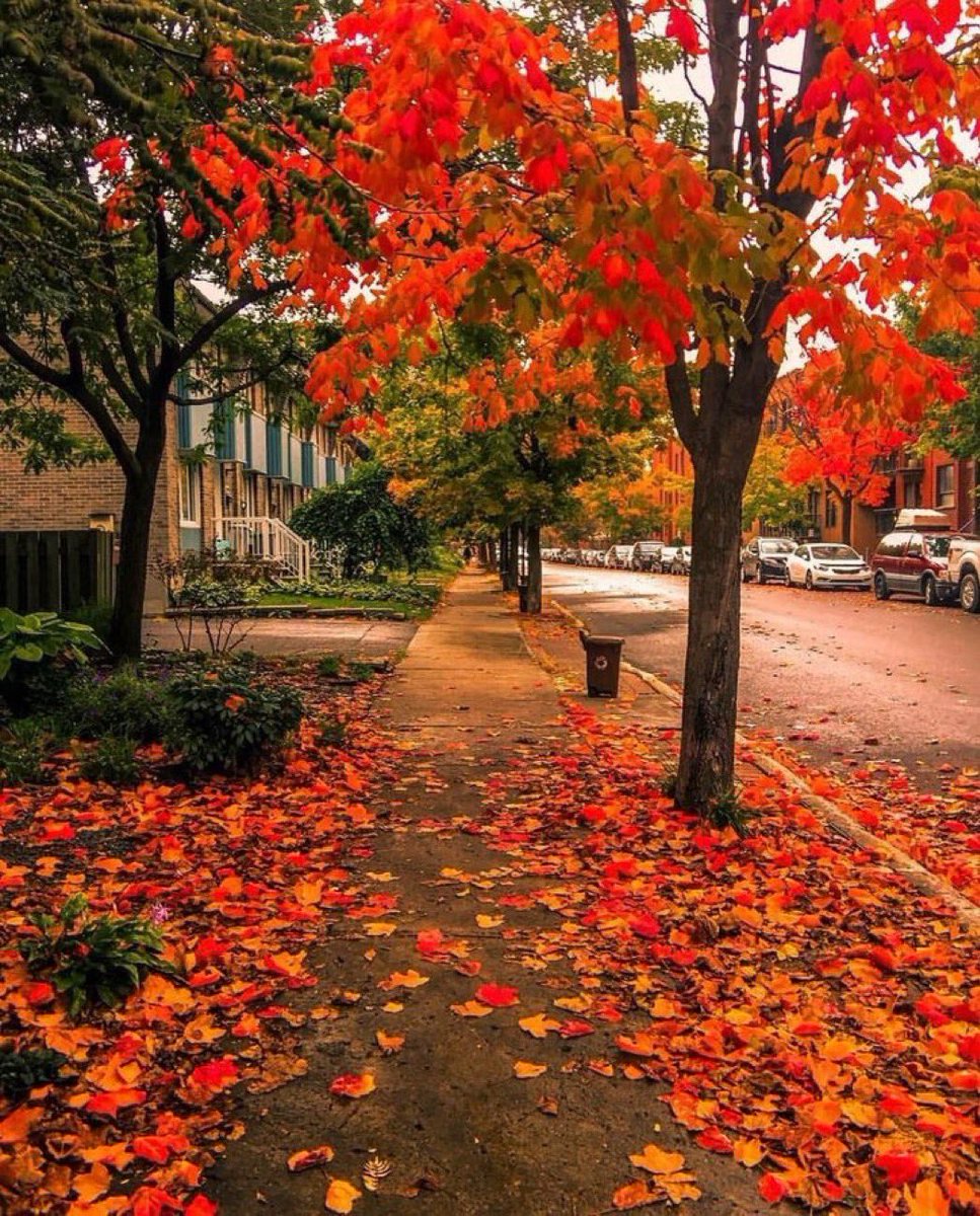ajoseval26's tweet photo. @Bianca15048017 Happy weekend ☀️ https://t.co/fSX9hDvnW9
