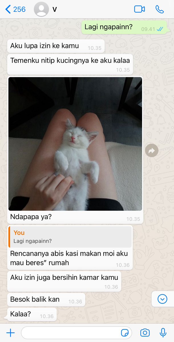 kUmmiemark's tweet photo. Pasangan yang lagi belajar komunikasih di tujuh bulan arranged married Skynani few tweets au itu https://t.co/xM9s5RBWWB