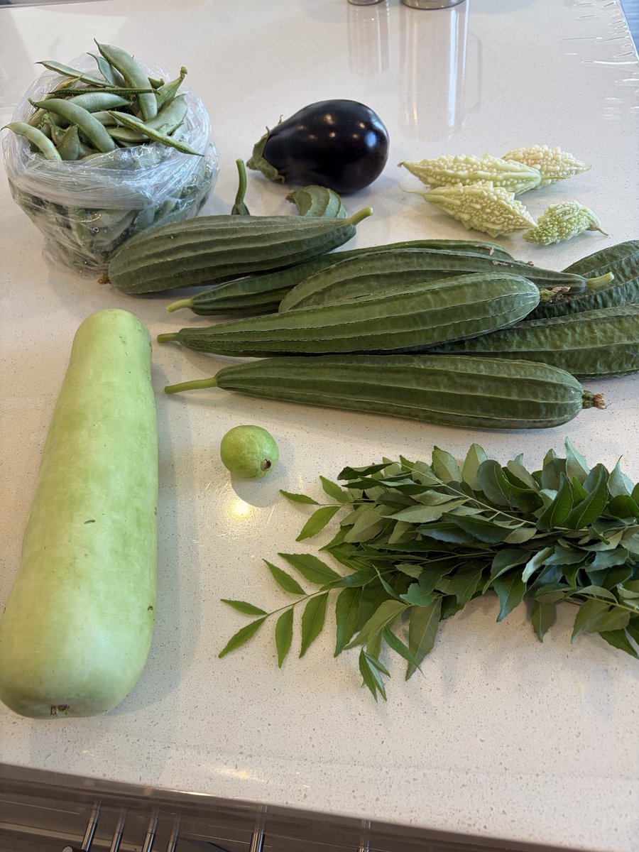 kkuchibhatla's tweet photo. #organicgarden 

veggies for the week from backyard ❤️👍 https://t.co/3wLs0OsU7a