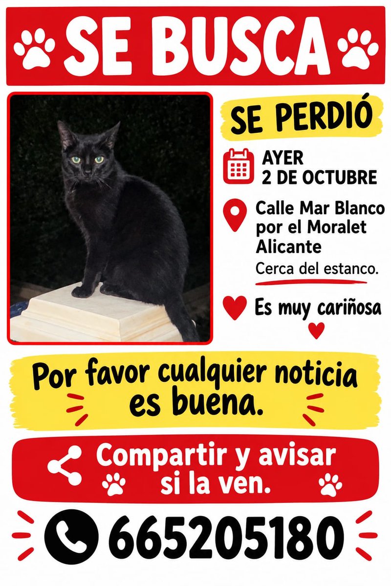 AcofalX's tweet photo. URGENTE PERDIDA EN ALICANTE https://t.co/TzQJcGLNXm