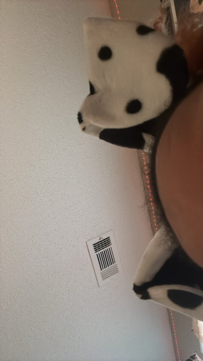 anonymous_11_4's tweet photo. Puppies awake!!  (Some one is handsy) 
#nsfwtwtًً  #porn #puppygurl #plussize https://t.co/VPh2UNEM4Q