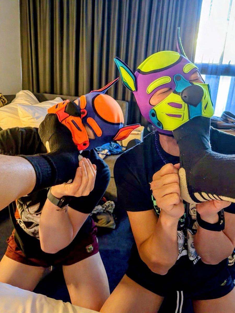 PupBudo_'s tweet photo. During our recent holiday, @PupSaku_ and I had the pleasure of meeting a very special pup from the US @spacepup_jasper. His paws 🐾 were extremely delicious and his bone 🦴 was even better. Thank you for the treats and for making these 2 pups feel very stratified 👉👈🤭💦🧦👟🤤 https://t.co/llvFz7nZe8