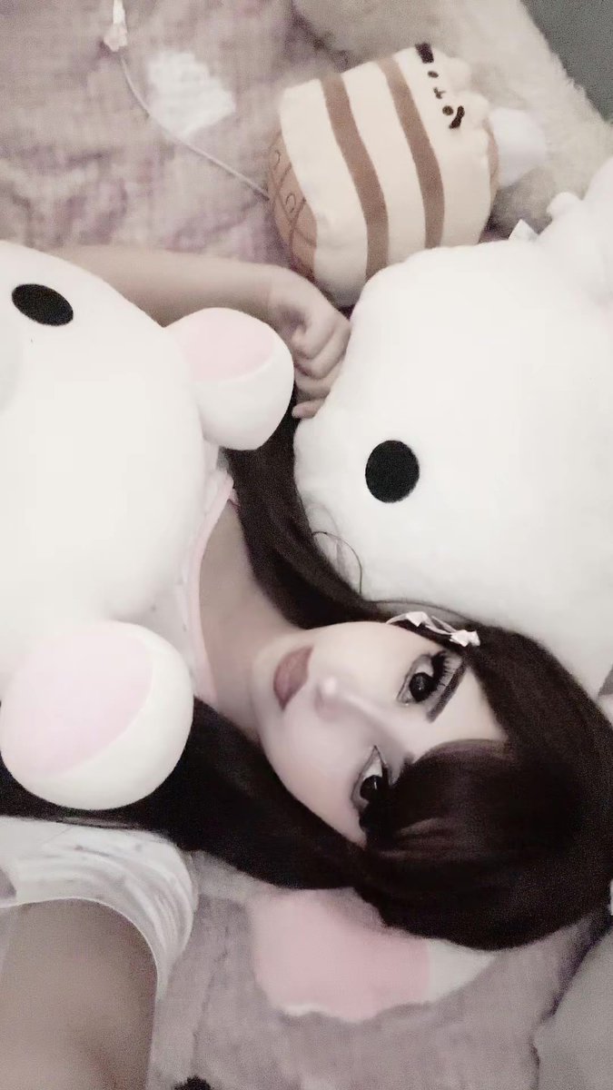 Intrntkiitty's tweet photo. Miaw https://t.co/M83t7yuXUk