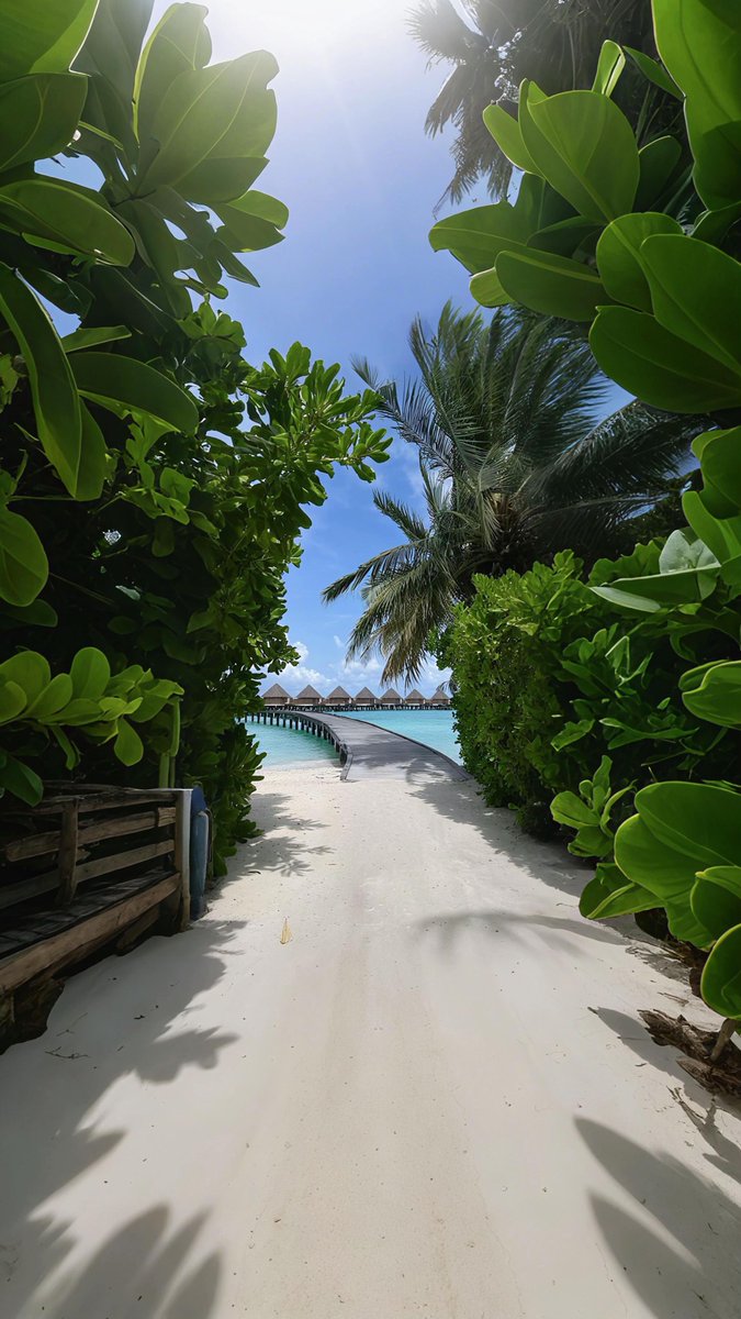 viewsoff's tweet photo. Maldives 🇲🇻 https://t.co/RW6JjrcyR4