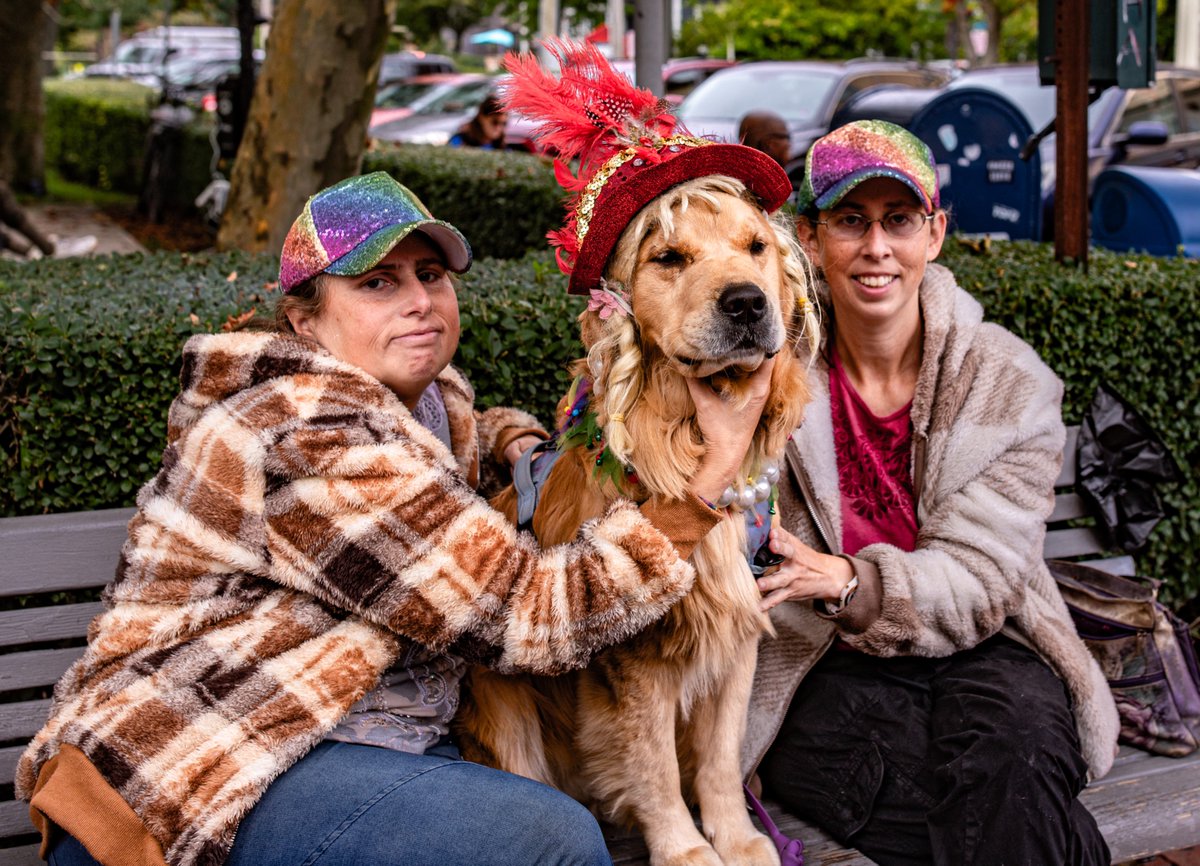 fotogosaurus's tweet photo. all dressed up https://t.co/vEFPI7oG7K #MA #CapeCod #Provincetown #NewEngland #AnimalPortrait #DogOfTheDay #Dog #family #Together #groupPic #queenDog #AllTogetherNow #October #Fall #Autumn #wonder #remember #Canon #tiesThatBind #BestFriends https://t.co/fO1fT0TPD5