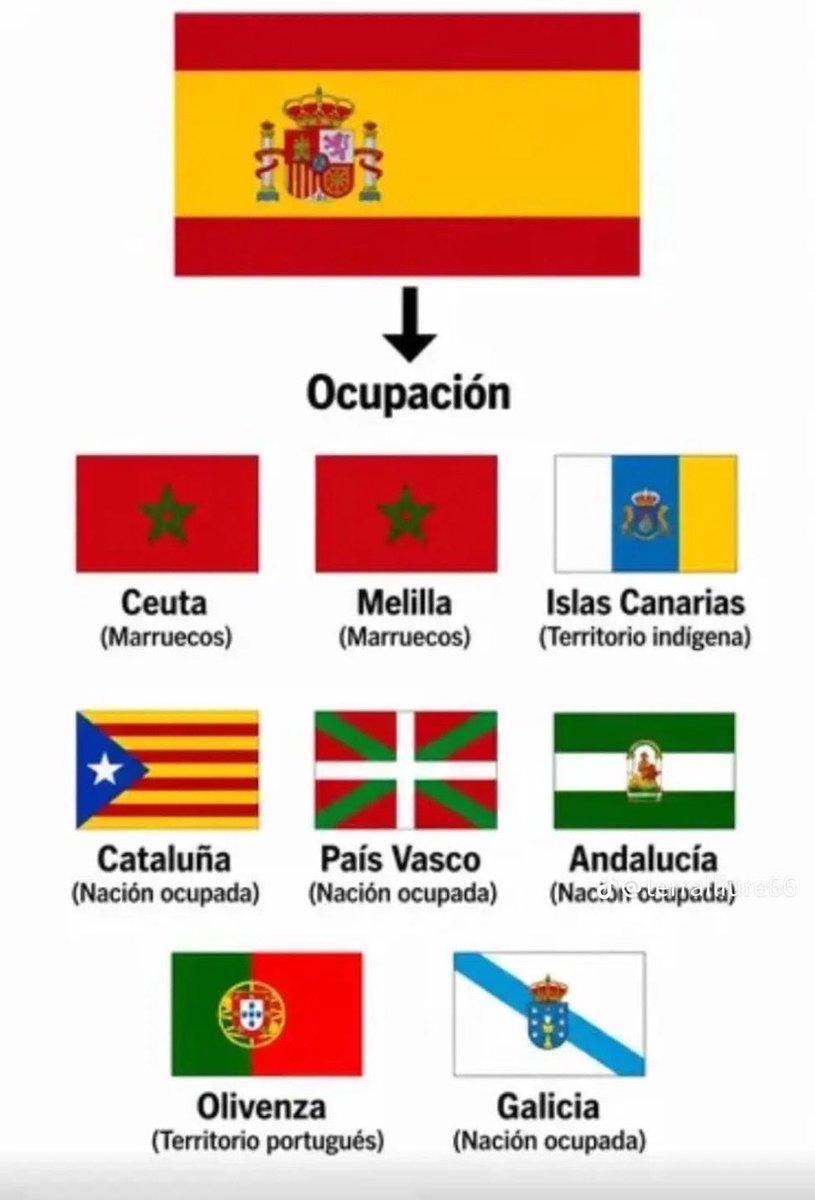 Adil10W's tweet photo. @GuajeSalvaje https://t.co/t5wcY8rwX4