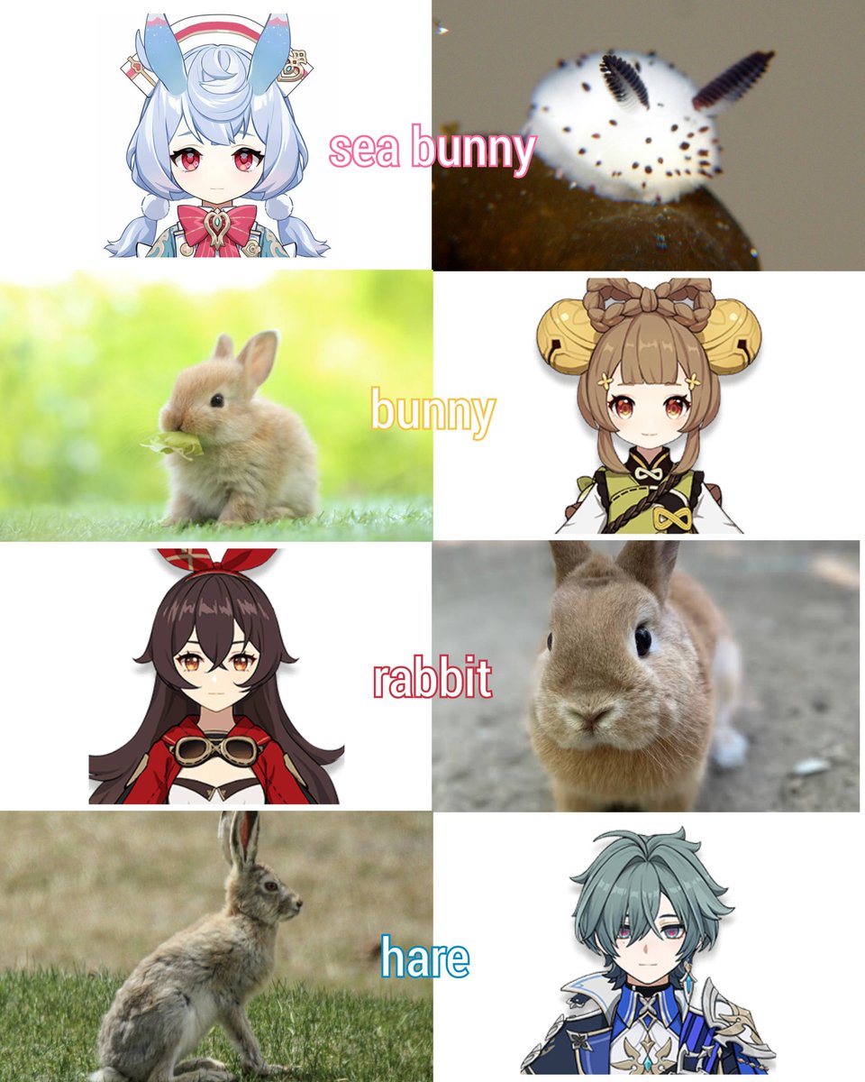 SIGEWINNEDAILY's tweet photo. 🐇🐇🐇🐇 impact https://t.co/SJ7nvXsB8p