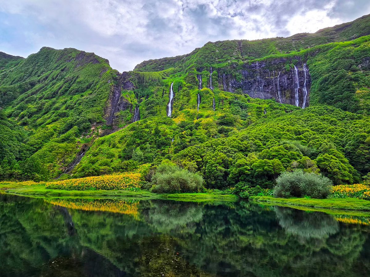 kriptolog's tweet photo. çores, çores https://t.co/zfeIEND4YR