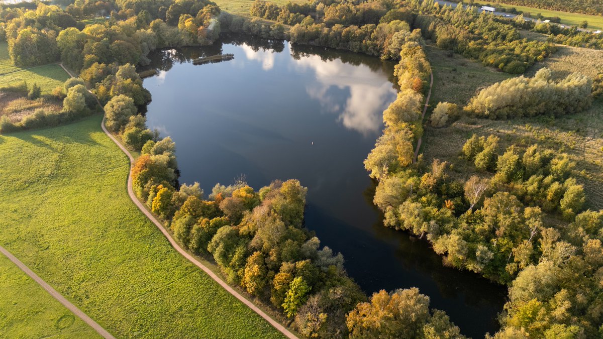 DorteHedengran's tweet photo. The lake slowly embracing the colors of autumn🍂

#Denmark #October3rd #street #PhotoOfTheDay #SaturdayVibes #SaturdayMood #drones

📹Dorte Hedengran https://t.co/zG5sVbB7No