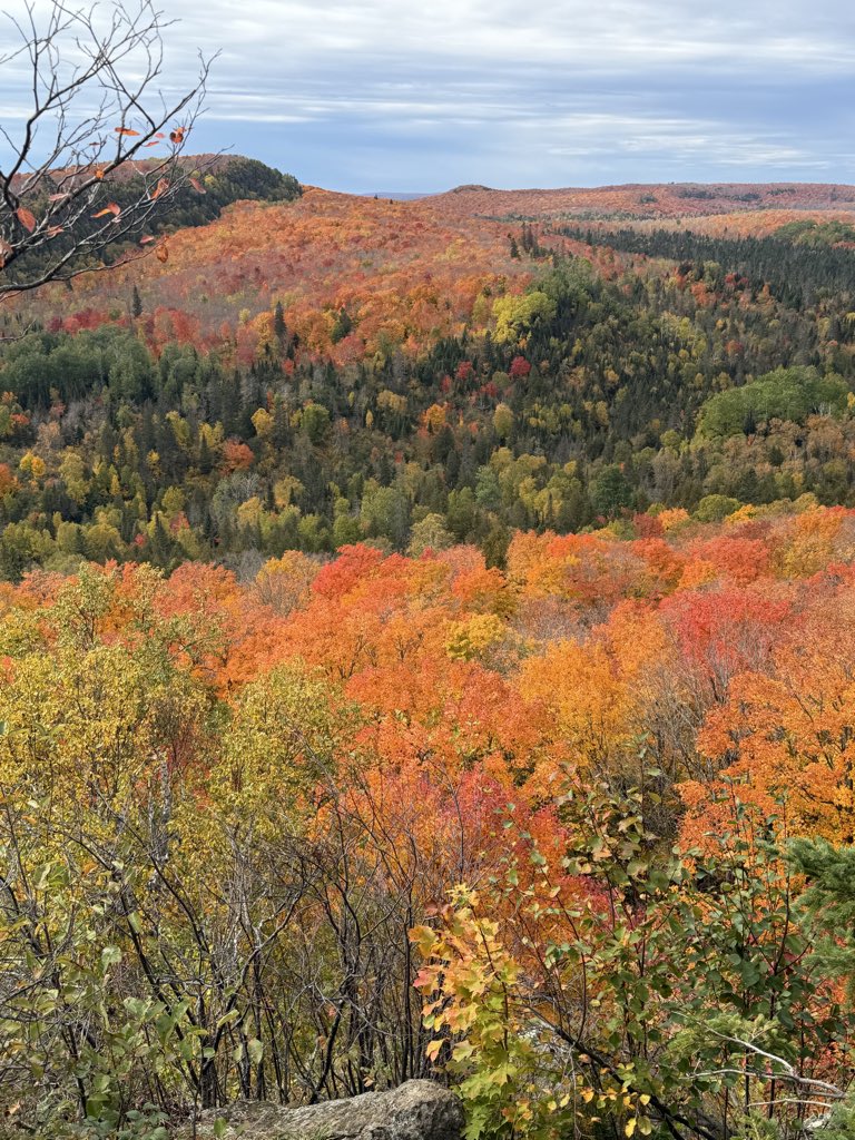 Yfz84's tweet photo. Northern Minnesota in the fall is the best. No states top it 💯 https://t.co/EgHfJKQ7fI