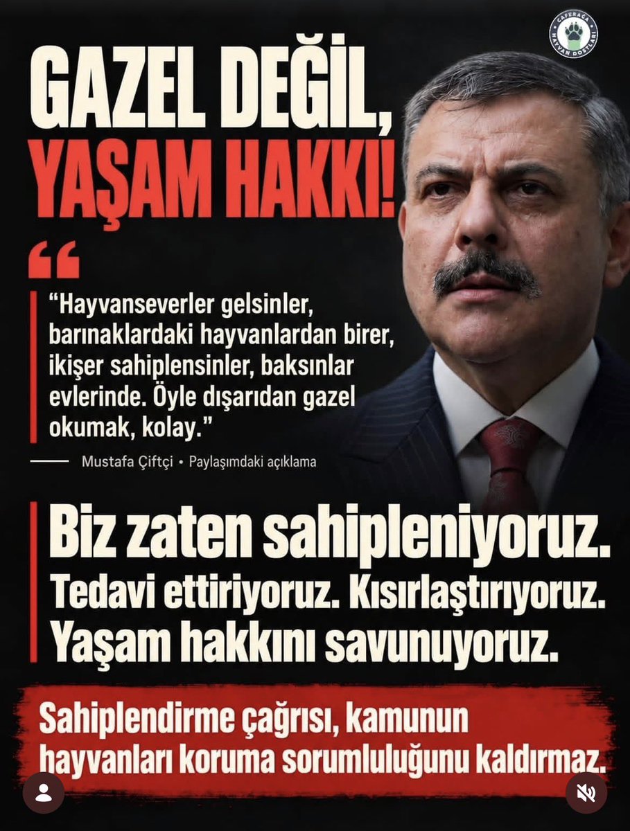 Srpulsy's tweet photo. Syn @mustafaciftcitr
Gazel okumuyoruz!
yıllardır sahipleniyor kısırlaştırıyor tedavi ettiriyor besliyorduk!
Taki 2 yıl önce  7527 say. katliam yasası sahiplenme sınırı koyana, site yönetiminden izin, tapu kaydı gibi şartlar istenene kadar! #4EkimiKutlamıyoruz
#PatiDostuSedatPeker https://t.co/X12INHjsGe