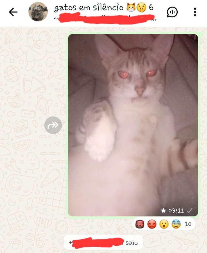 smollyoriii's tweet photo. @himebruna se assustaram com o demonio que eu invoquei, até sairam https://t.co/Ea6tWGyddM