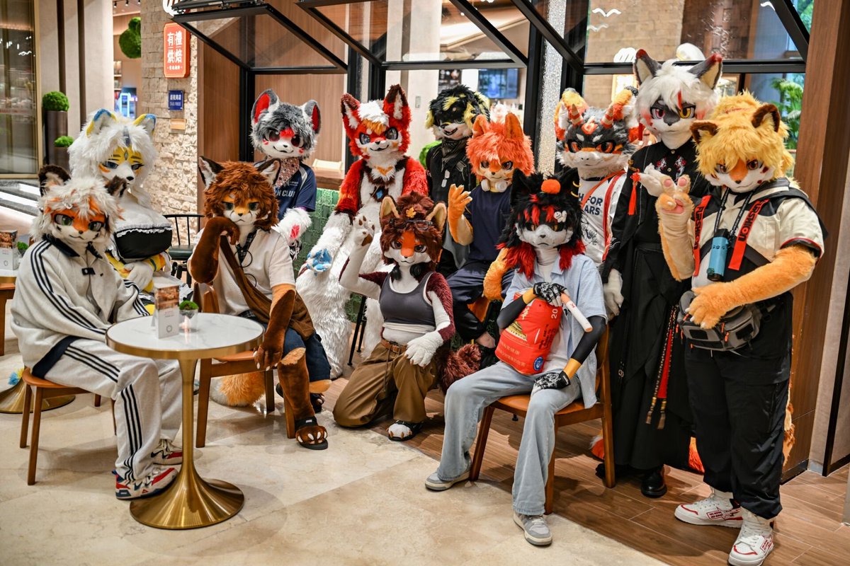 mushengFurry's tweet photo. 在hifurry拍摄家族合照
虽然没有完全集齐所有人😭 https://t.co/aH8oxcnoJU