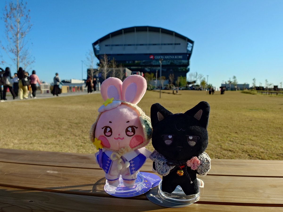 Akk_AN3's tweet photo. @_hauntedrecords 🐈‍⬛ 🐈 https://t.co/CXaEBYAJcD