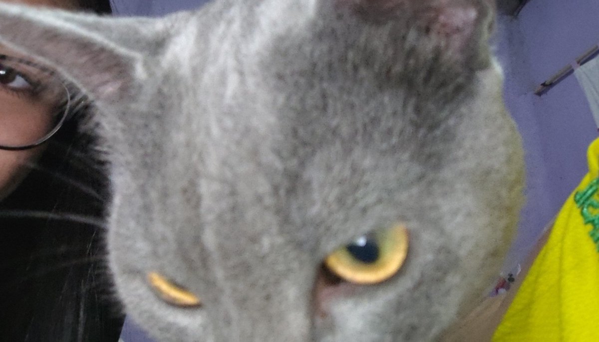 bleuladybooo's tweet photo. meu pirralho https://t.co/6c5OJMdqgN