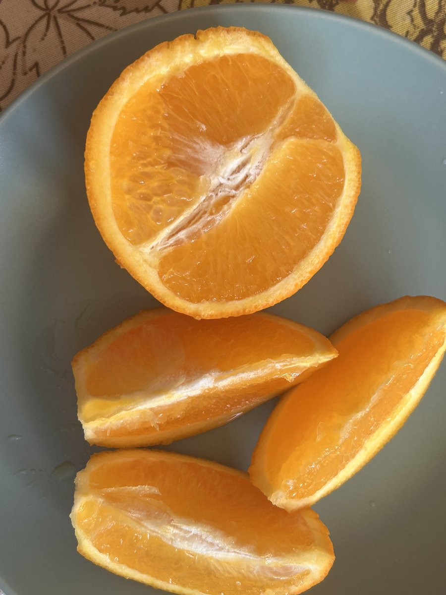 raviesdiary's tweet photo. 🍊 snack : an orange 

62 cal https://t.co/K1tk1IuLwy