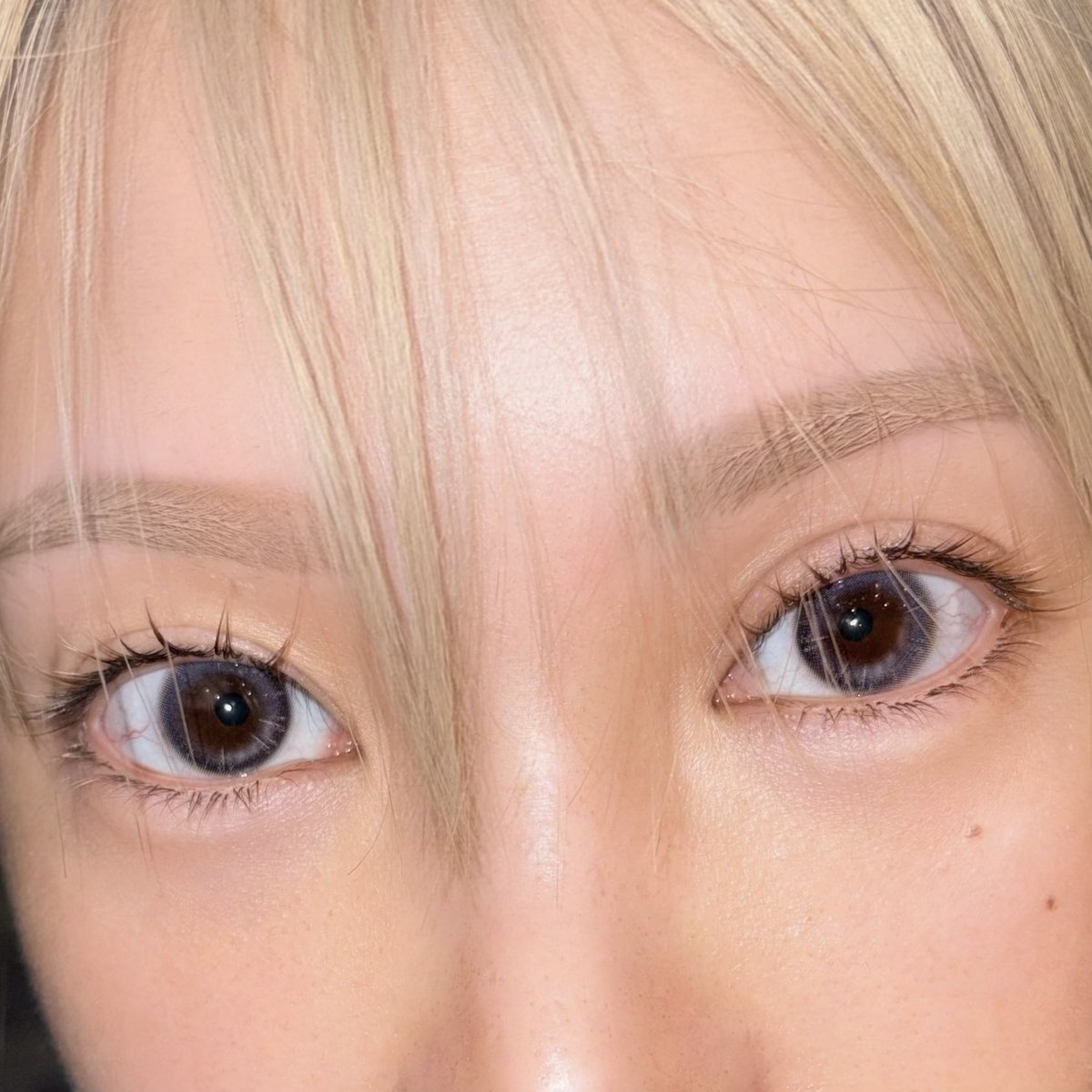 外国の少年風の色素薄いまつ毛にしたくて今回まつエクに金髪混ぜた。
そしたら写真で撮ったときに目元明るくなるからカラコンの発色もいいのよね。 https://t.co/sPaQZ67tAK