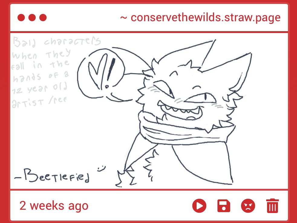 c0nservethewild's tweet photo. OH MY GOD BEETLE I AINT WVEN SEE THIS WTF IM SOSORRY !!!!!!!!!!!!!! So fluffy idiot wowwo https://t.co/1JkLlLSutG