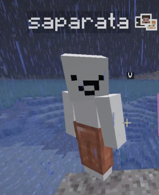 veeington's tweet photo. // soulsmp spoilers

GOD HE LOOKS LIKE AN IDIOT FROM A DIFF POV https://t.co/KLozQgdKmu
