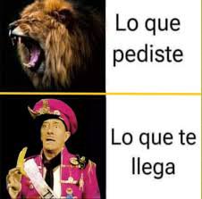 HugoBarrio11's tweet photo. @mistermiga Jajaja jajaja 😂😂 https://t.co/1EyFaXjo8T